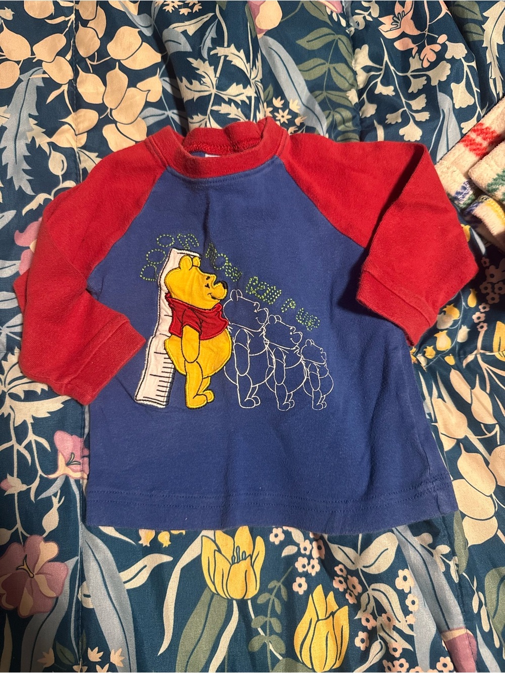 Vintage Disney Pooh Raglan Long Sleeve Shirt - Blue & Red